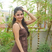 Actress Sheena Shahabadi latest Photos | Picture 46691